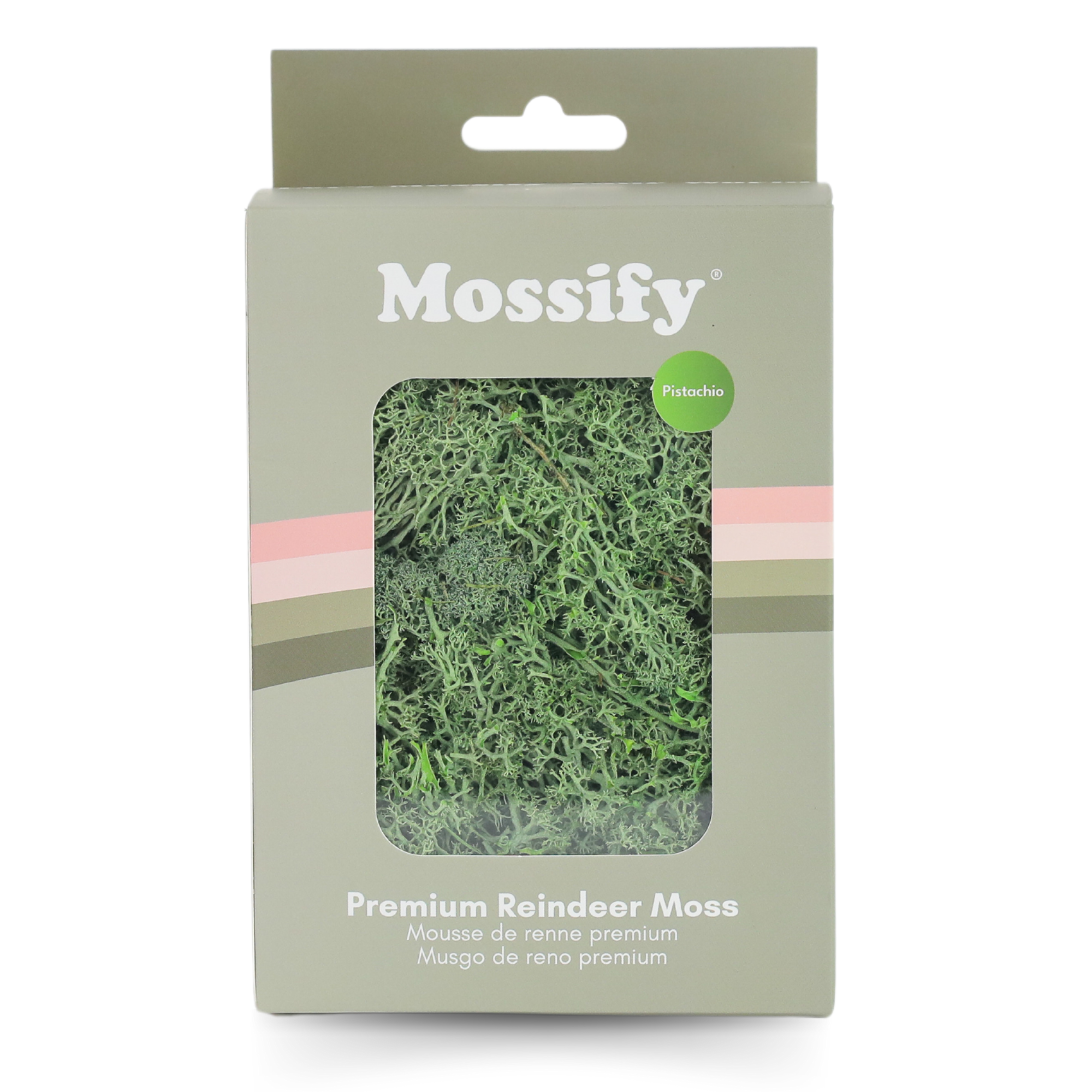 Mossify - Wholesale Live Plant - Premium Preserved Reindeer Moss – Colorful Decorative Mix10