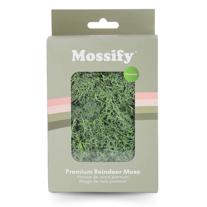 Mossify - Wholesale Live plant - Premium Preserved Reindeer Moss – Colorful Decorative Mix10