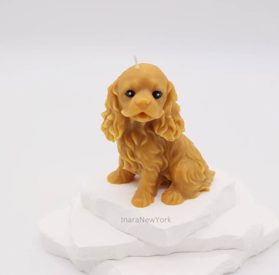 Inara New York - Wholesale Grappige kaars - Cocker Spaniël | Ierse setter hond Kaars6