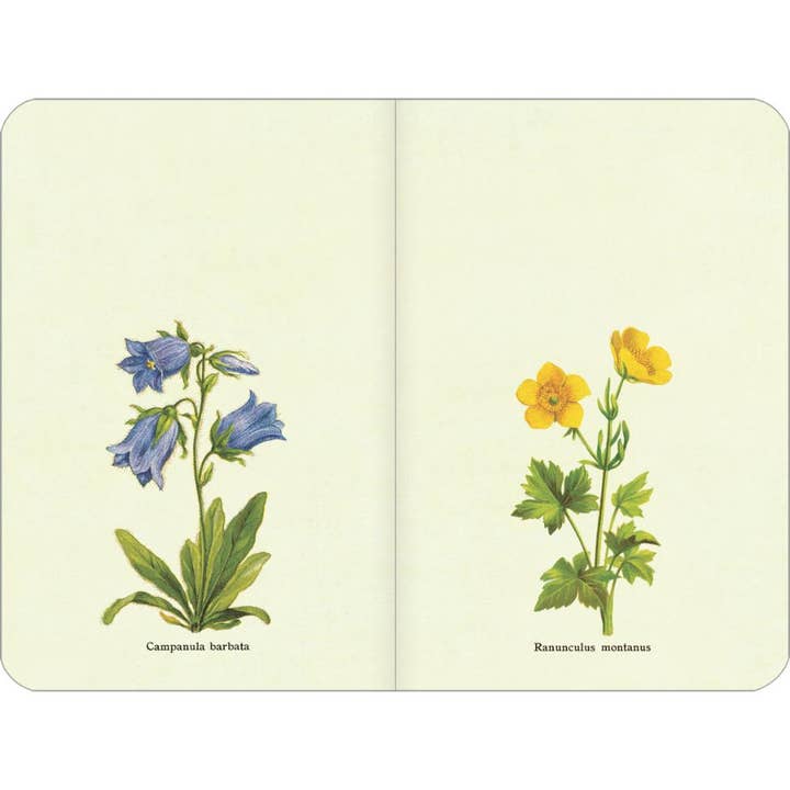 Bobangles - Wholesale Planner - Cavallini 2025 Weekly Planner – Flower Garden