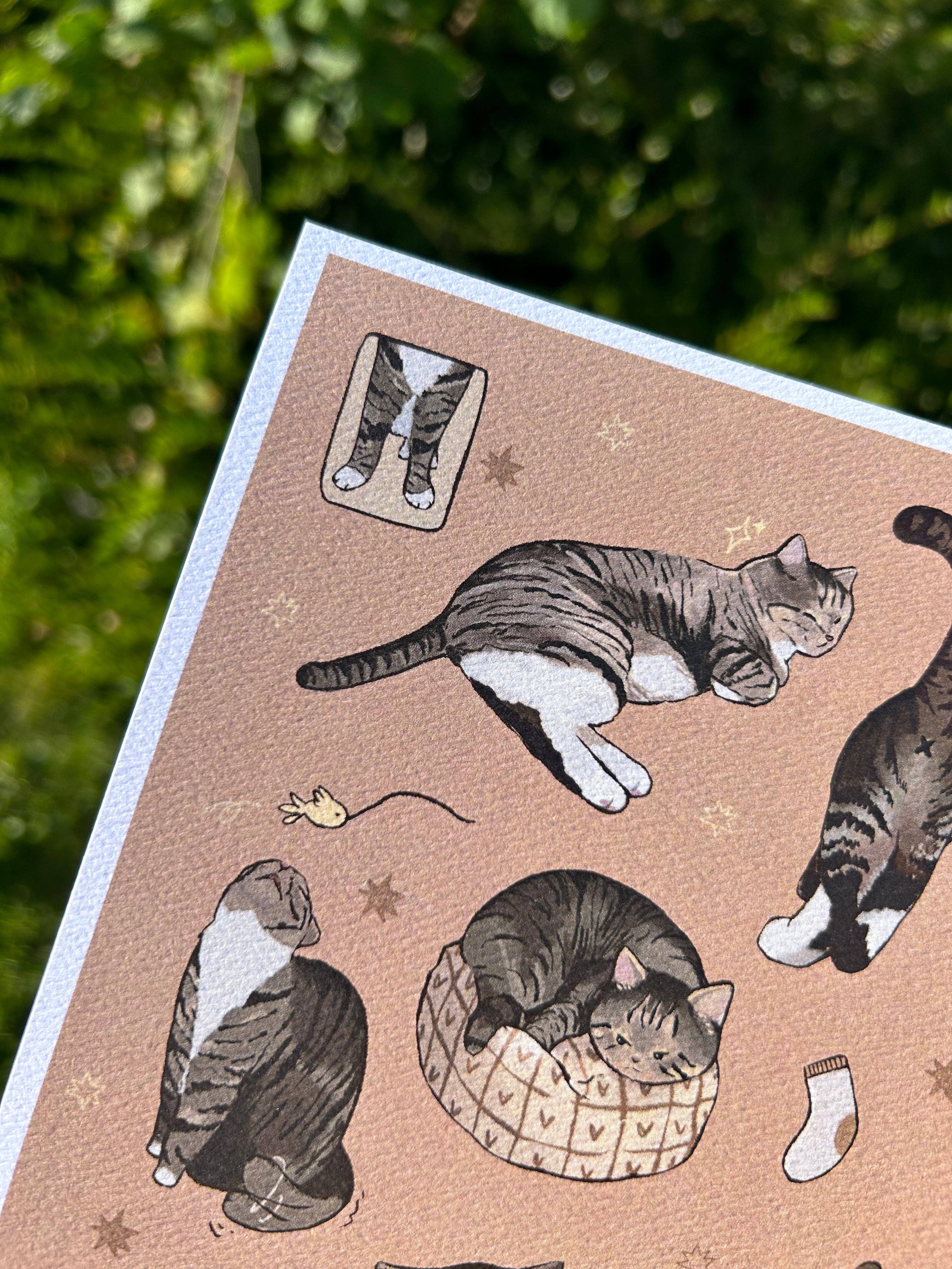 Shooley - Wholesale Art Print - Tabby Cat Print3