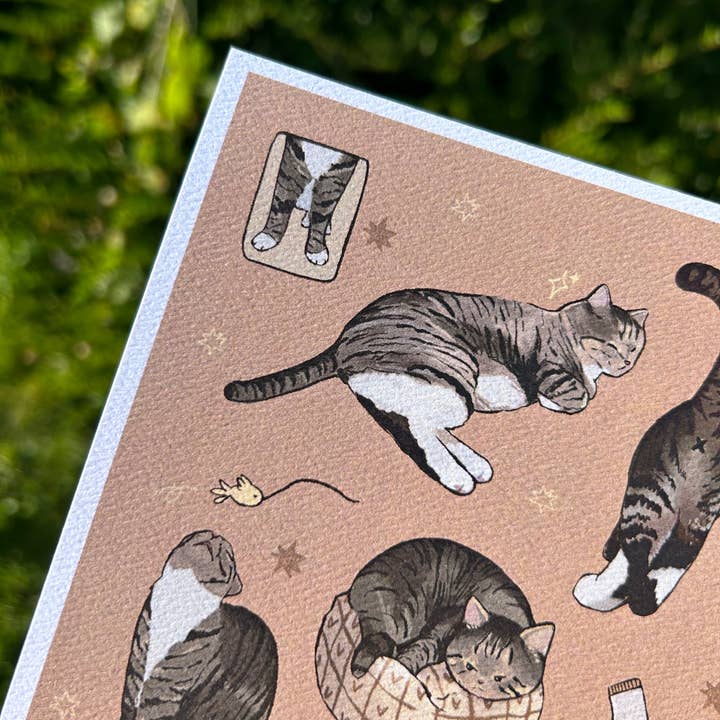 Shooley - Wholesale Art Print - Tabby Cat Print3