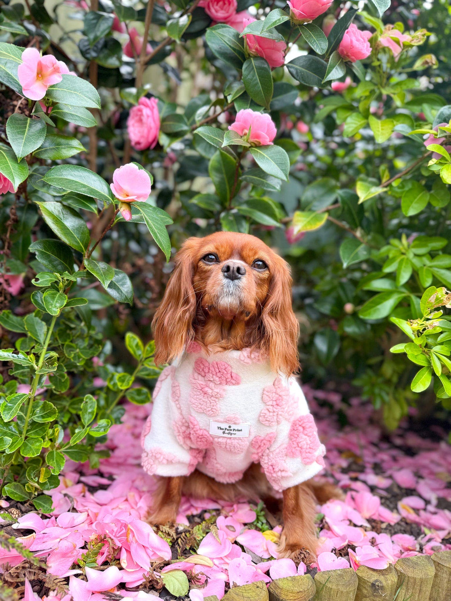 The Paw Print Boutique - Wholesale Pet Coat - Dog - The Peony Pink Floral Fleece4