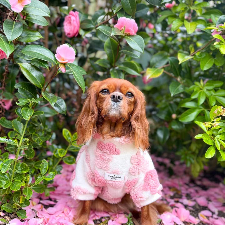 The Paw Print Boutique - Wholesale Pet Coat - Dog - The Peony Pink Floral Fleece4