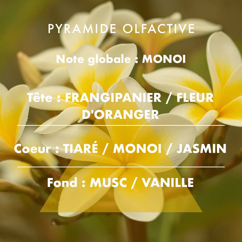 L'Échoppe Buissonnière – Großhandel Reed-Diffusor – Monoï - Reed Diffuser 200 ml2