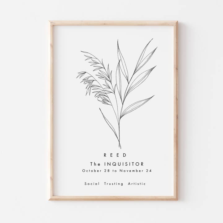 Celtic Tree Astrology Print- Reed for wholesale by Lara Vinck