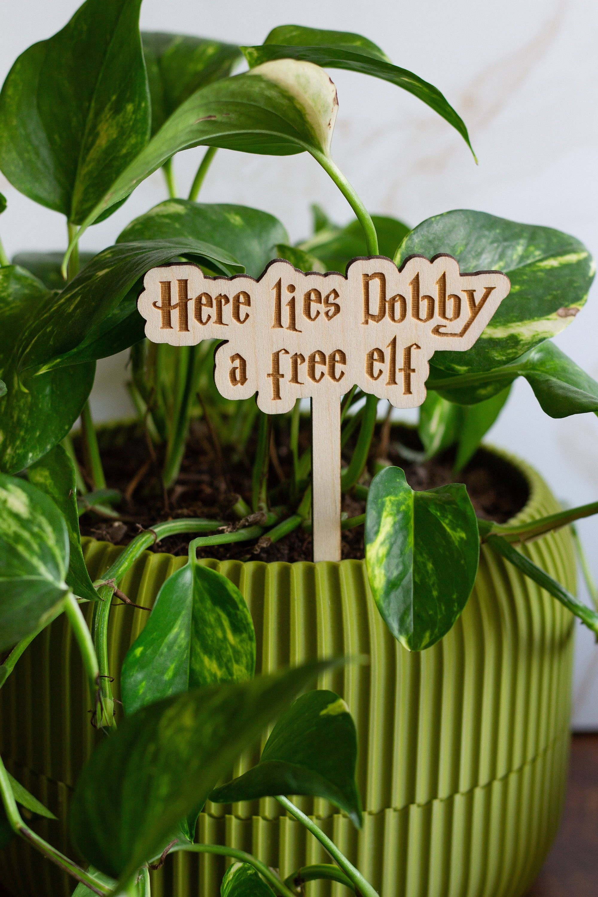 The Print Pantry - Wholesale Garden/Lawn Stake - Harry Potter Wooden Plant Markers3