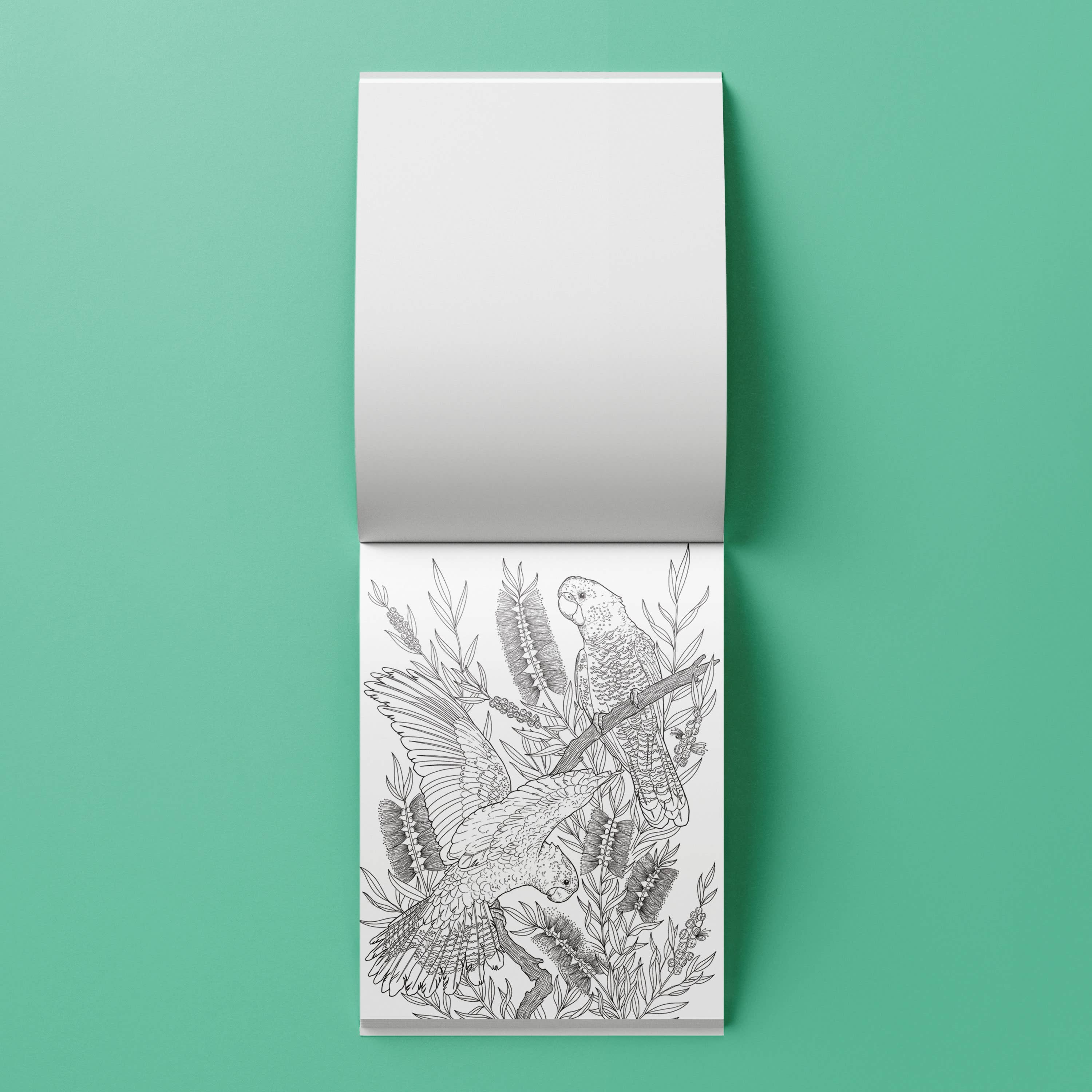 Hinkler Australia - Wholesale Coloring Book - Kids & Baby - Kaleidoscope Colouring Australian Wildlife Kit3