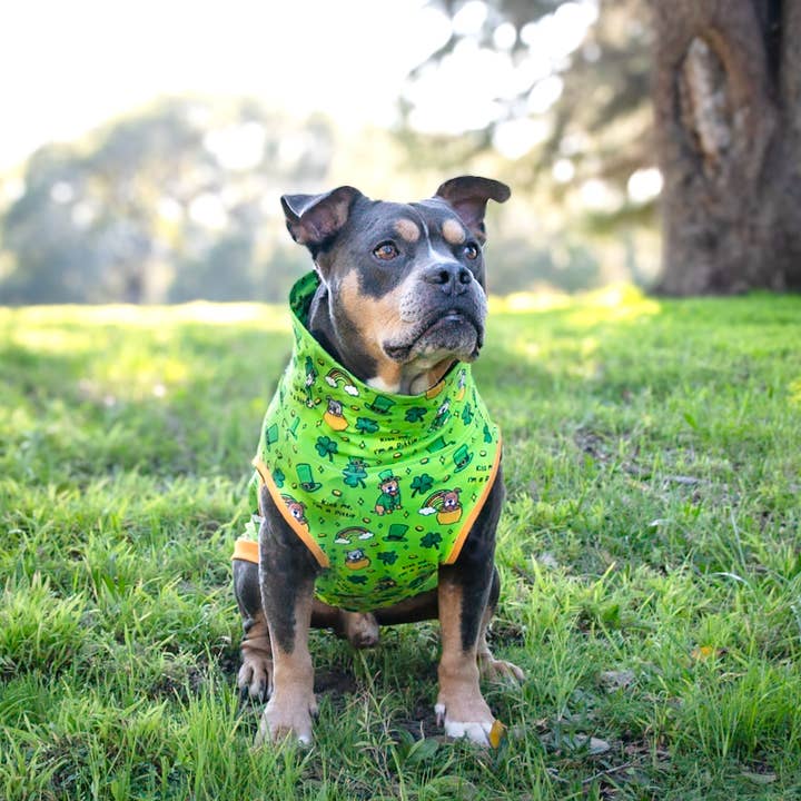 Pitties Go Bragh Muscle Tee for wholesale by Pittie Clothing Co.