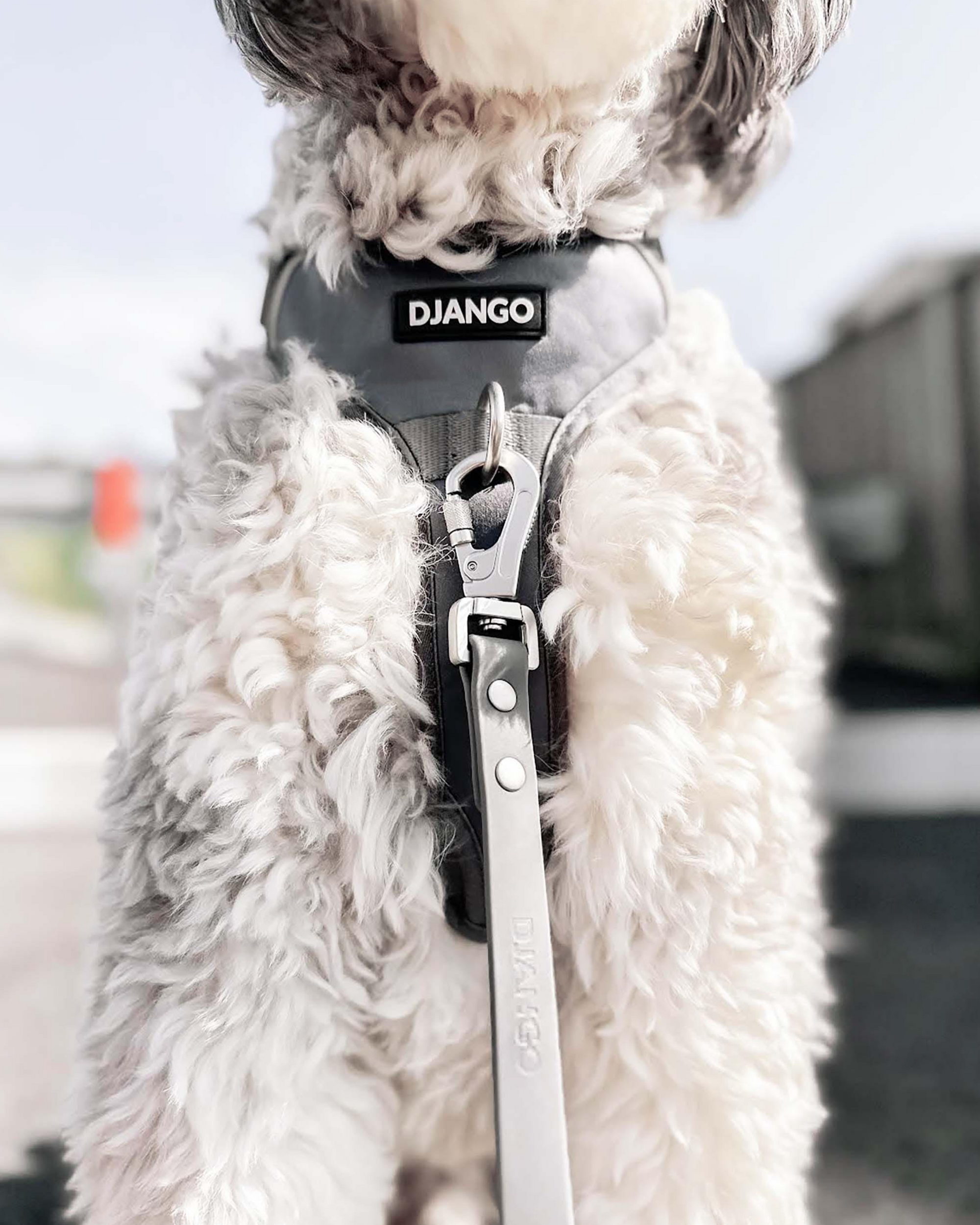 DJANGO - Wholesale Pet Harness - Dog - Tahoe No Pull Dog Harness - Poppy Seed Gray6