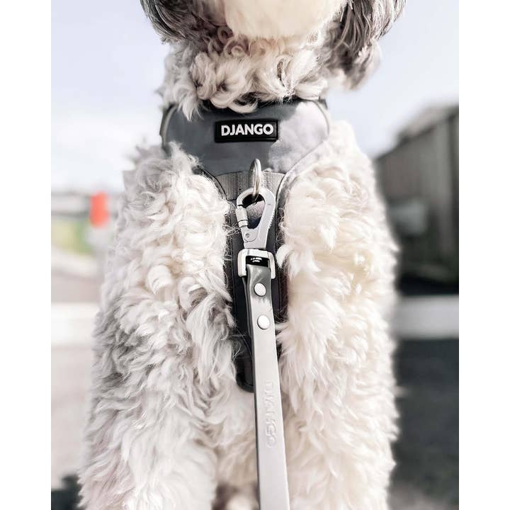 DJANGO - Wholesale Pet Harness - Dog - Tahoe No Pull Dog Harness - Poppy Seed Gray6