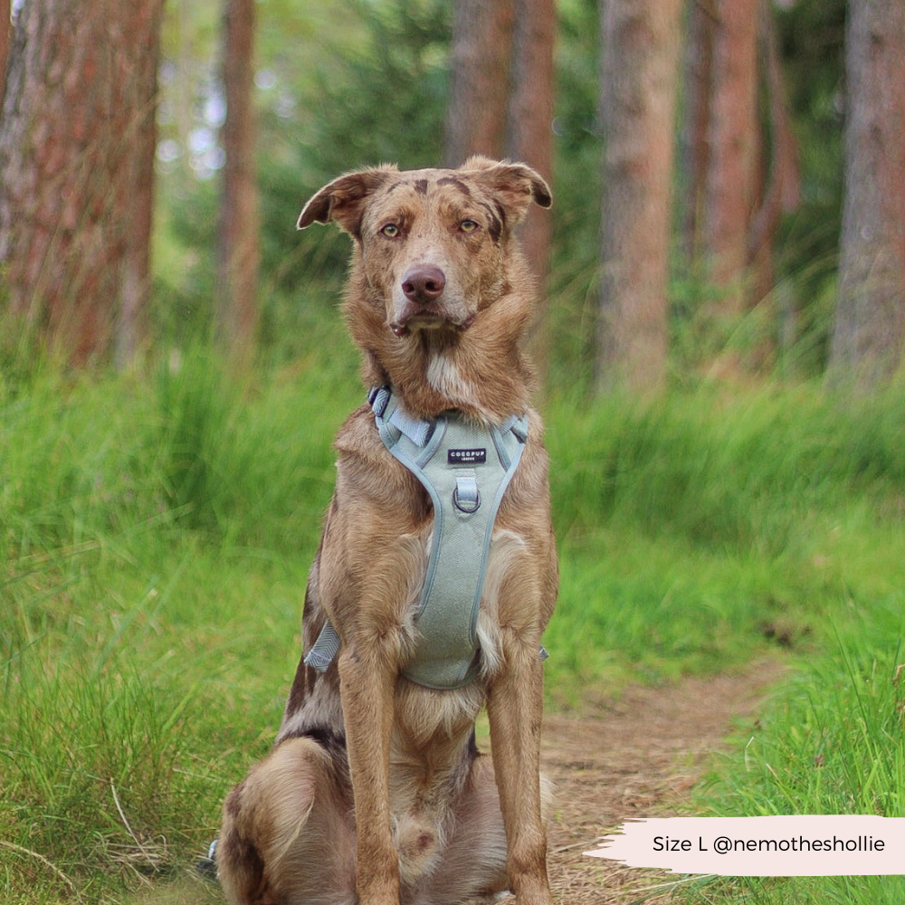 Cocopup London - Wholesale Tuig voor huisdieren - Hond - Verken Harness - Salie Tweed11