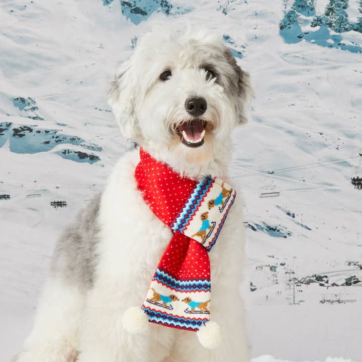 The Foggy Dog - Wholesale Pet Scarf - Cat/Dog - Gray Malin x TFD Hit the Slopes Knit Holiday Dog Scarf