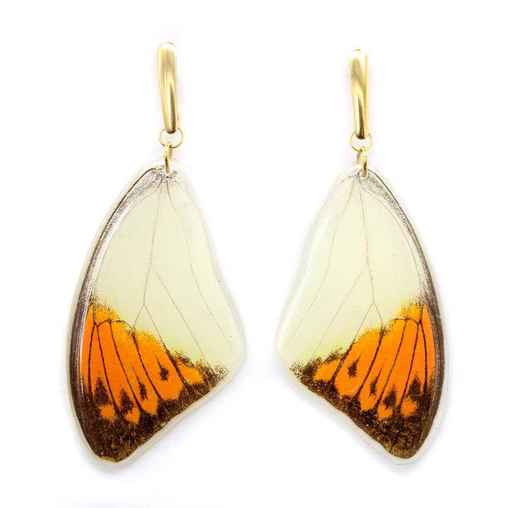 Boucles d'oreilles en aile de marbre pour la vente par Monarca Eco Friendly Jewelry