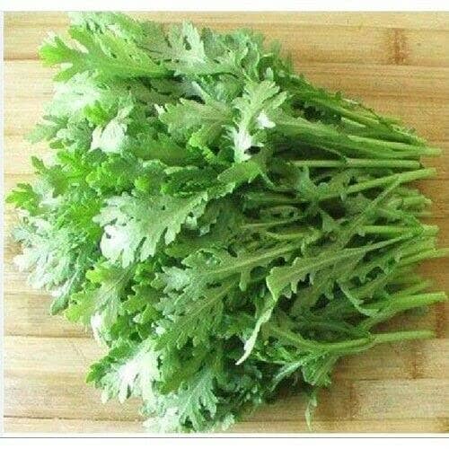 The Rike - Wholesale Plant Seeds - Crown Daisy Seeds Garland Chrysanthemum 3 pack x 3000 seeds1