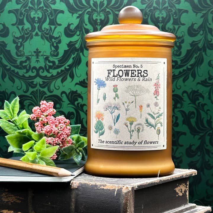 Fleurs (Spécimen n° 5) pour la vente par Herbal Apothecary