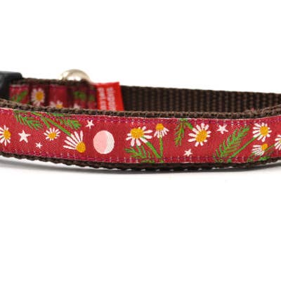six point pet - Wholesale Pet Collar - Cat - Chamomile-Burgundy2