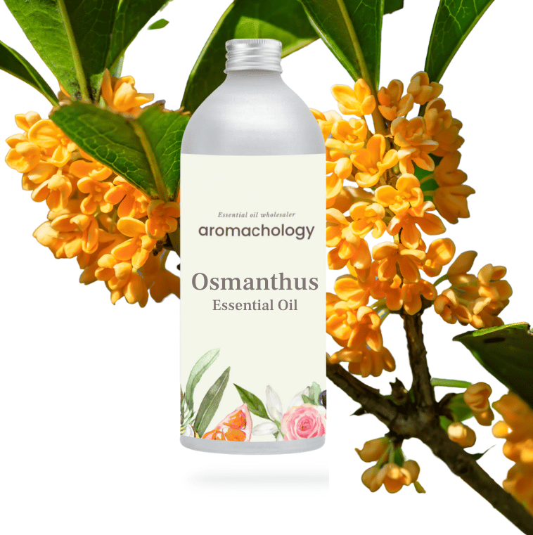 Aromachology – wholesale Eterisk olja – Osmanthus eterisk olja0