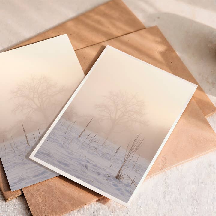 Foggy Winter Sunrise Landscape Photography Postcards for wholesale by Hayden Photography