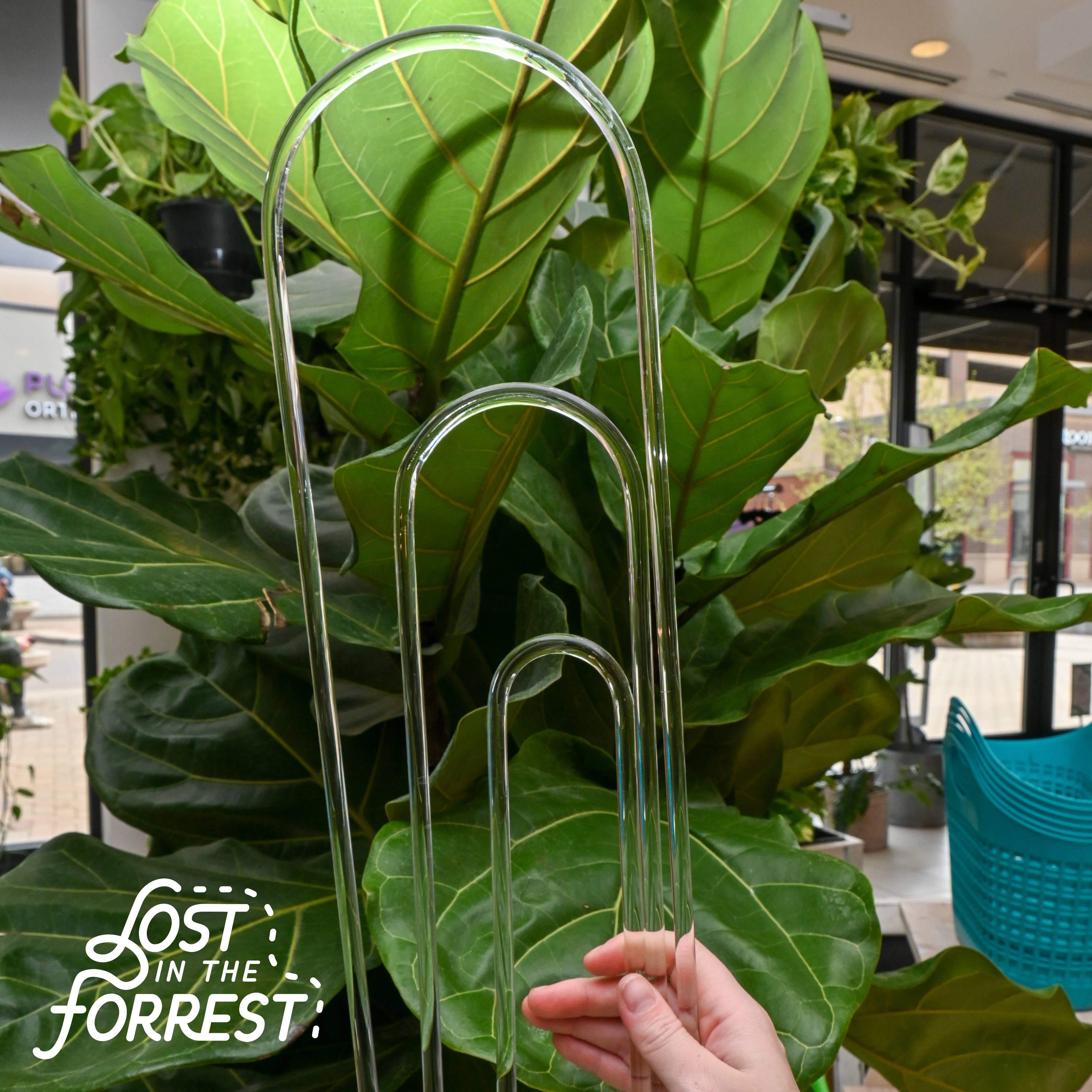 Lost in the Forrest - Wholesale Garden Tool - Glassvine Plant Support Hoop9