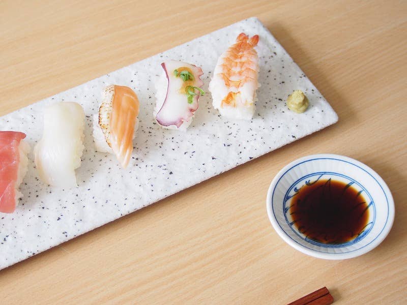 Sensui – wholesale Dinner plate – Japanese Dinosaur Small Plate5