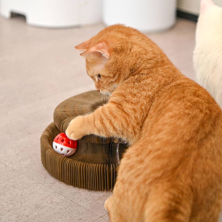 Olchi - Wholesale Pet Toy - Cat - WIGGLEE MAGIC BALL TRACK (CAYA-TO9521)