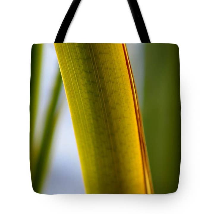 DRAAGTAS - DE DRAAGTAS VOOR PLANTEN IN HET SPECIFIEKE MEER voor wholesale door sorayadapuzzostore