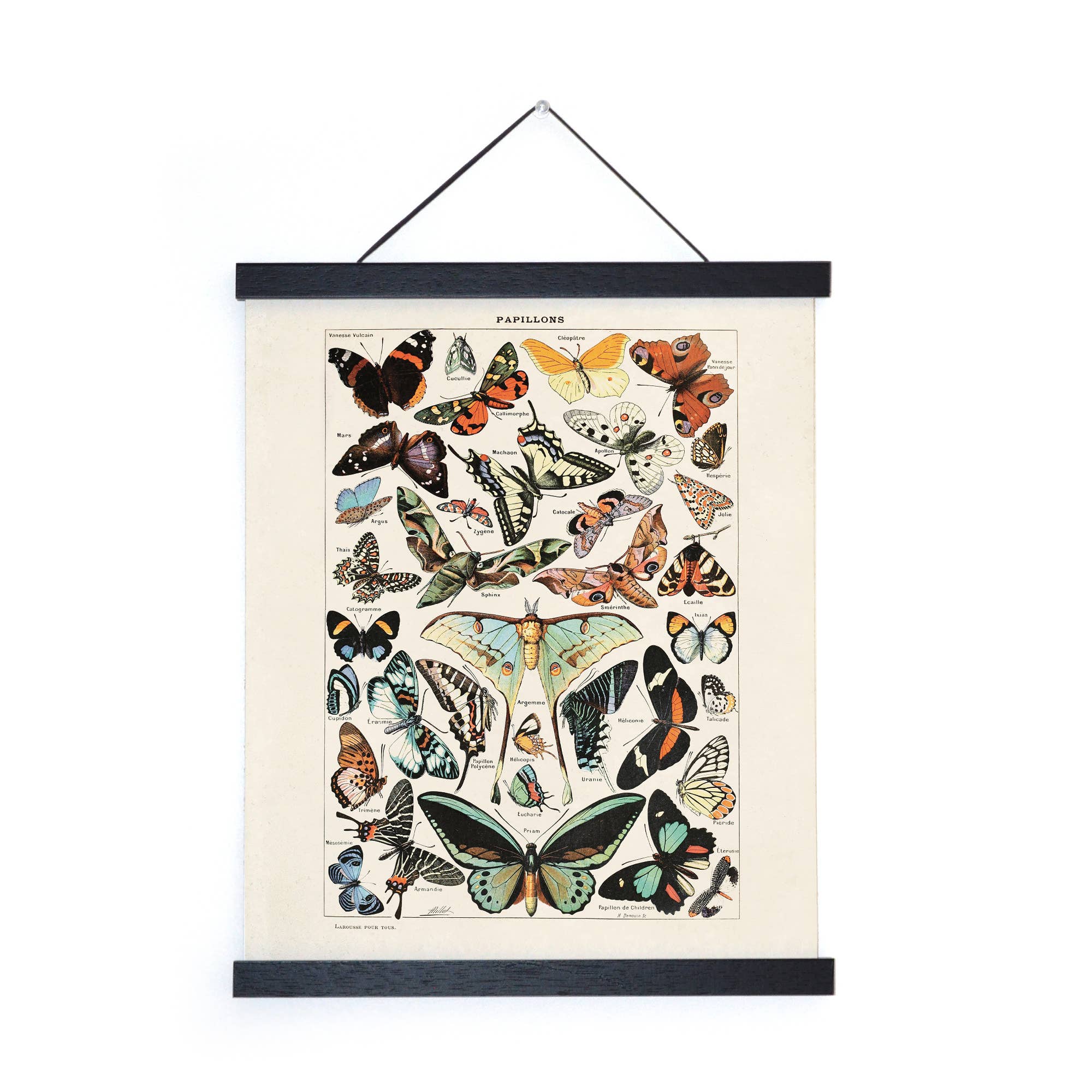 Curious Prints - Vente Affiche d'art - Imprimé Vintage Millot Butterfly 3 avec cadre en option2