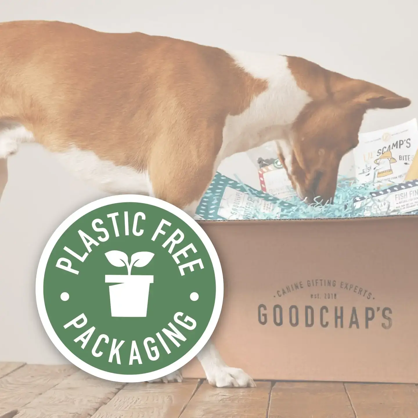 Goodchap's - Wholesale Pet Treats - Dog - Whitefish Jerky | CDU of 14 Packs7