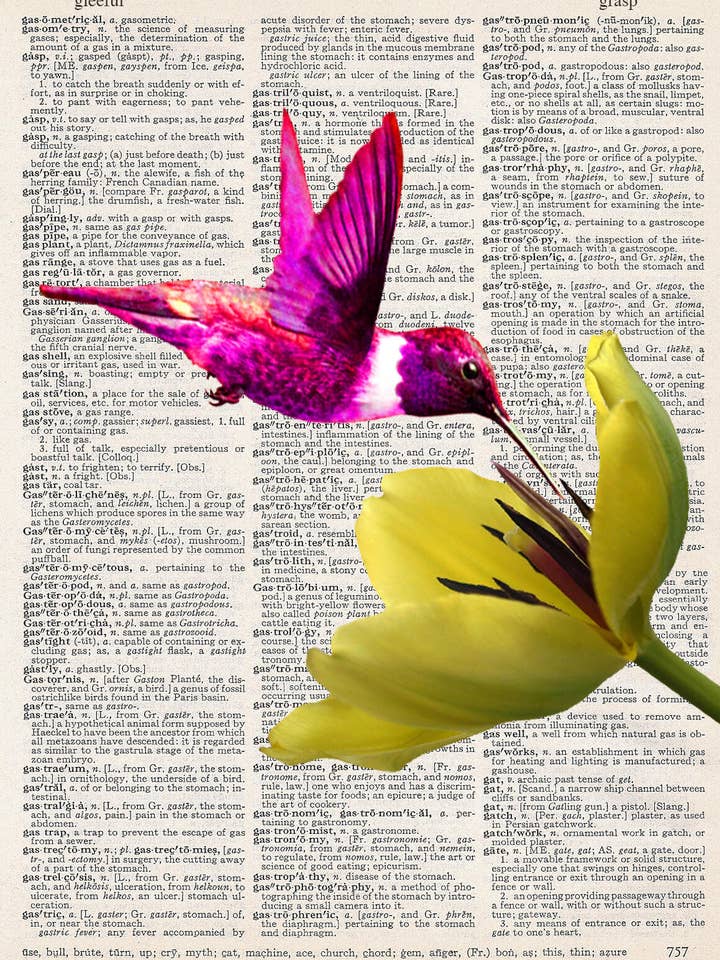 MOTIF DE COLIBRI pour la vente par ARTNWORDZ LLC