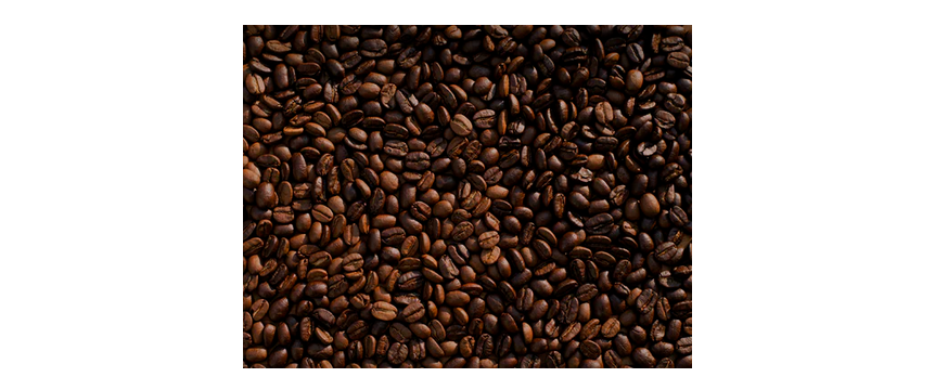 Coffee Quadratic Roasters - Wholesale Coffee Beans - 100% Hawaii Kona (220 g)0