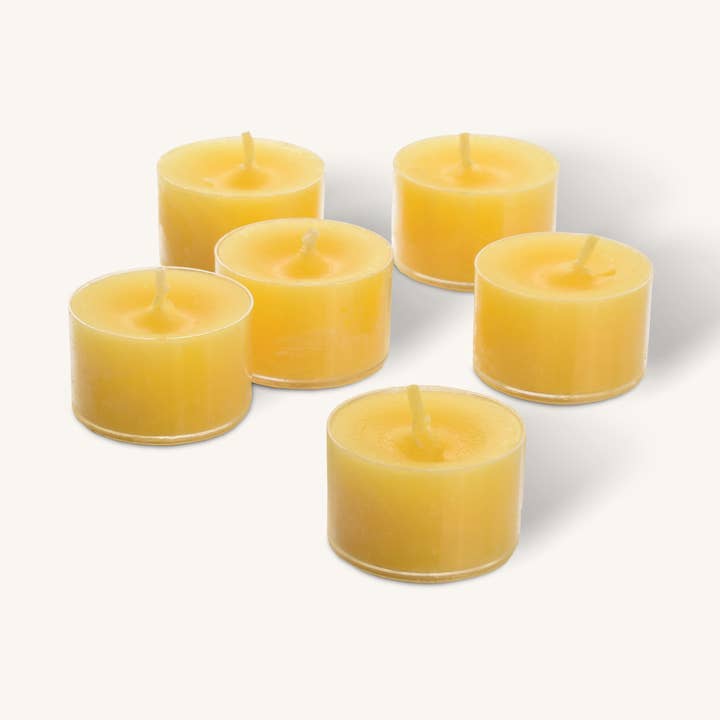 Candele Tealight alla citronella in tazza trasparente, 8 ore, 40 pezzi per la vendita all'ingrosso da parte di Hyoola Candles
