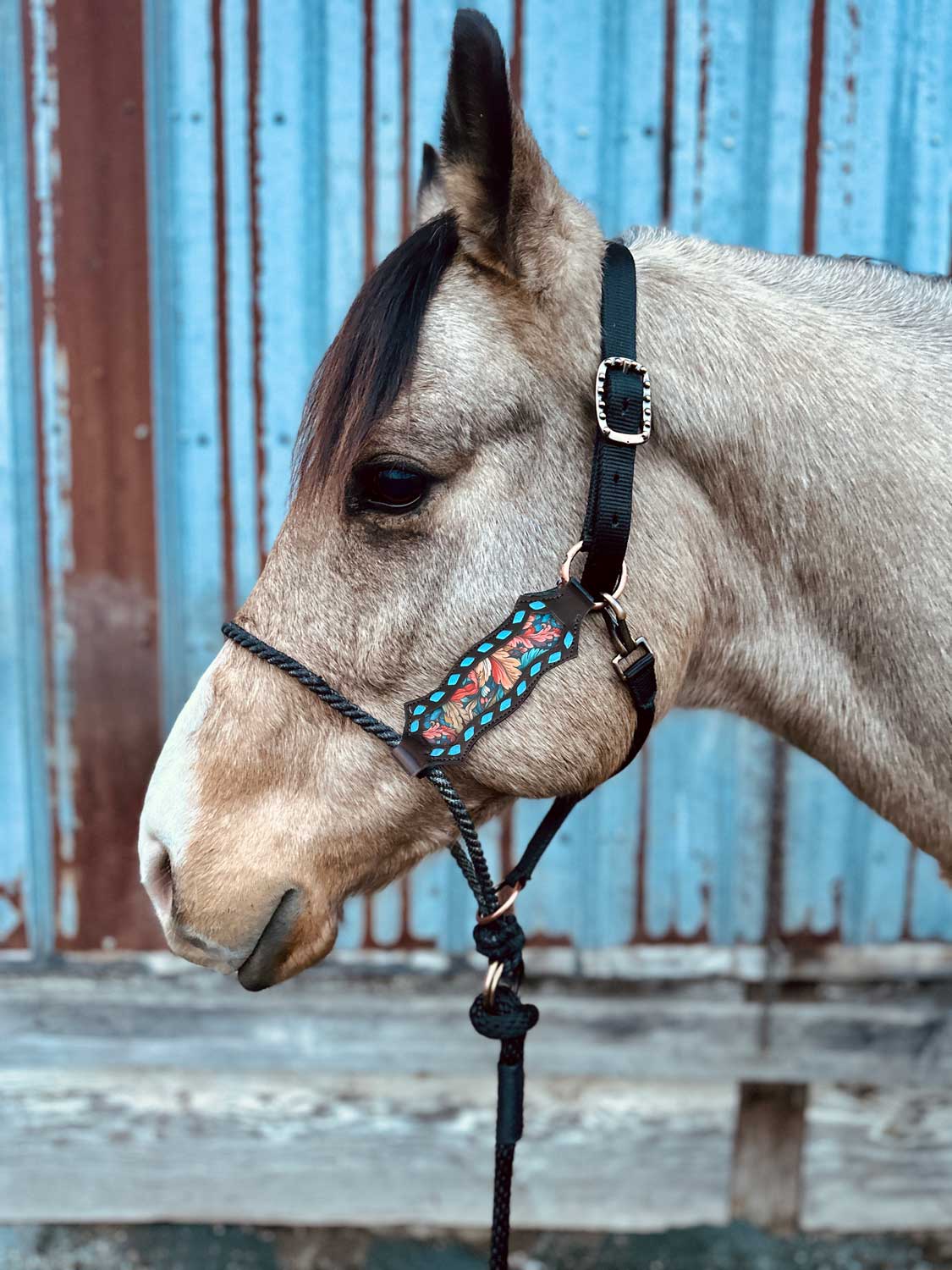 Schulz Equine - Wholesale Horseback Riding Gear - Lariat Nose Halter12