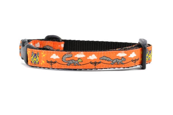 six point pet - Vente Collier – chien - Écureuils Lucha - Orange pétillante6