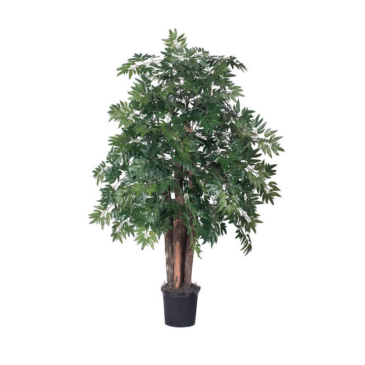 Vickerman 4' Ming Aralia Bush, Black Pot for wholesale by Vickerman