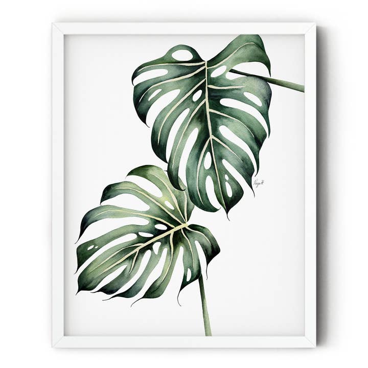 Botanical Monstera Deliciosa Tropical Watercolor Art Print for wholesale by Petals by Priya Watercolor Designs