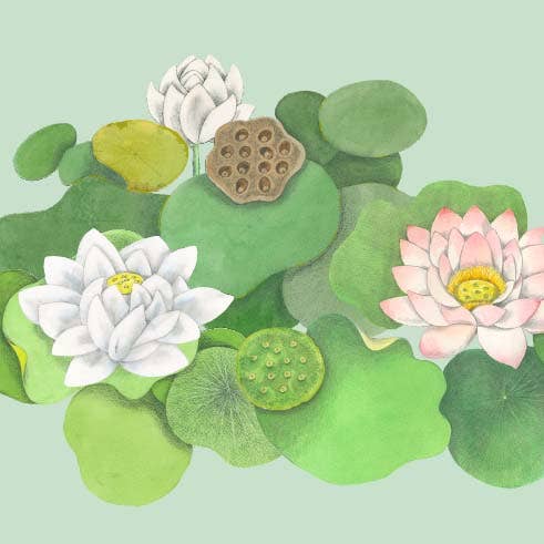 VMazzoni - Wholesale Stationery/Notecard Set - Lan Su Lotus Trio on Celadon Background1