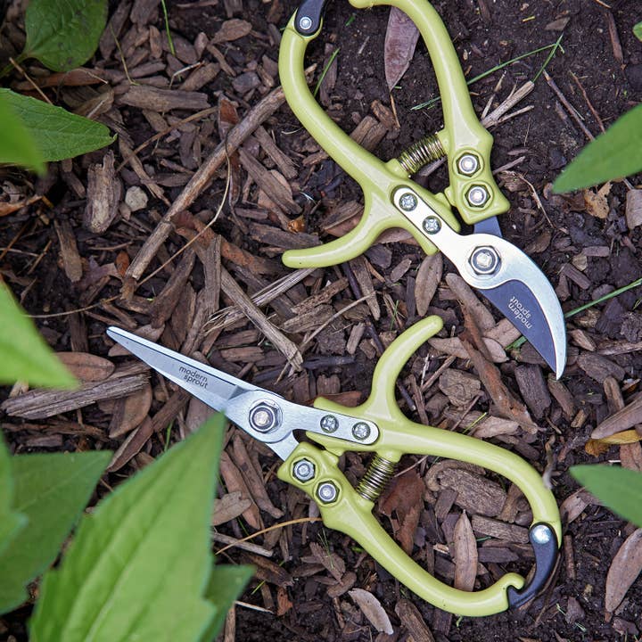 Modern Sprout - Wholesale Garden Tool - New Colors! Garden Pruners