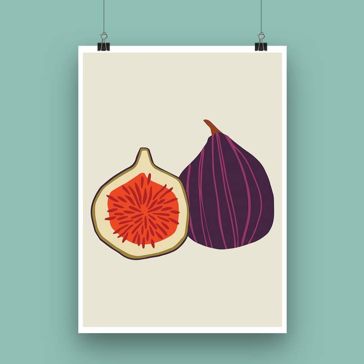 'Fig' Art Print / Fruit Illustration for wholesale by Joanne de Pace Design Studio