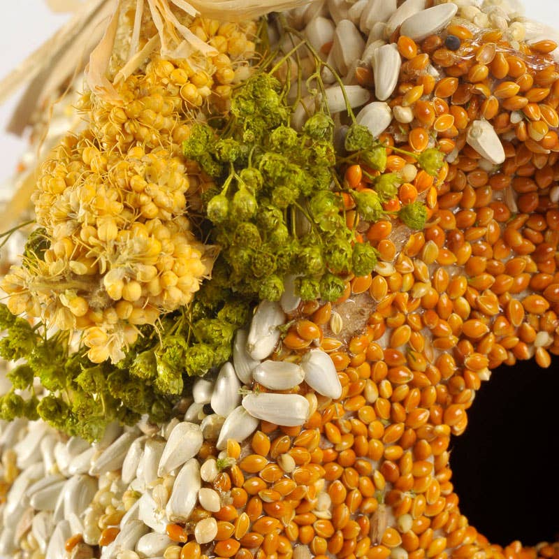 Mr Bird - Wholesale Bird House - Birdie Cottage All Season2