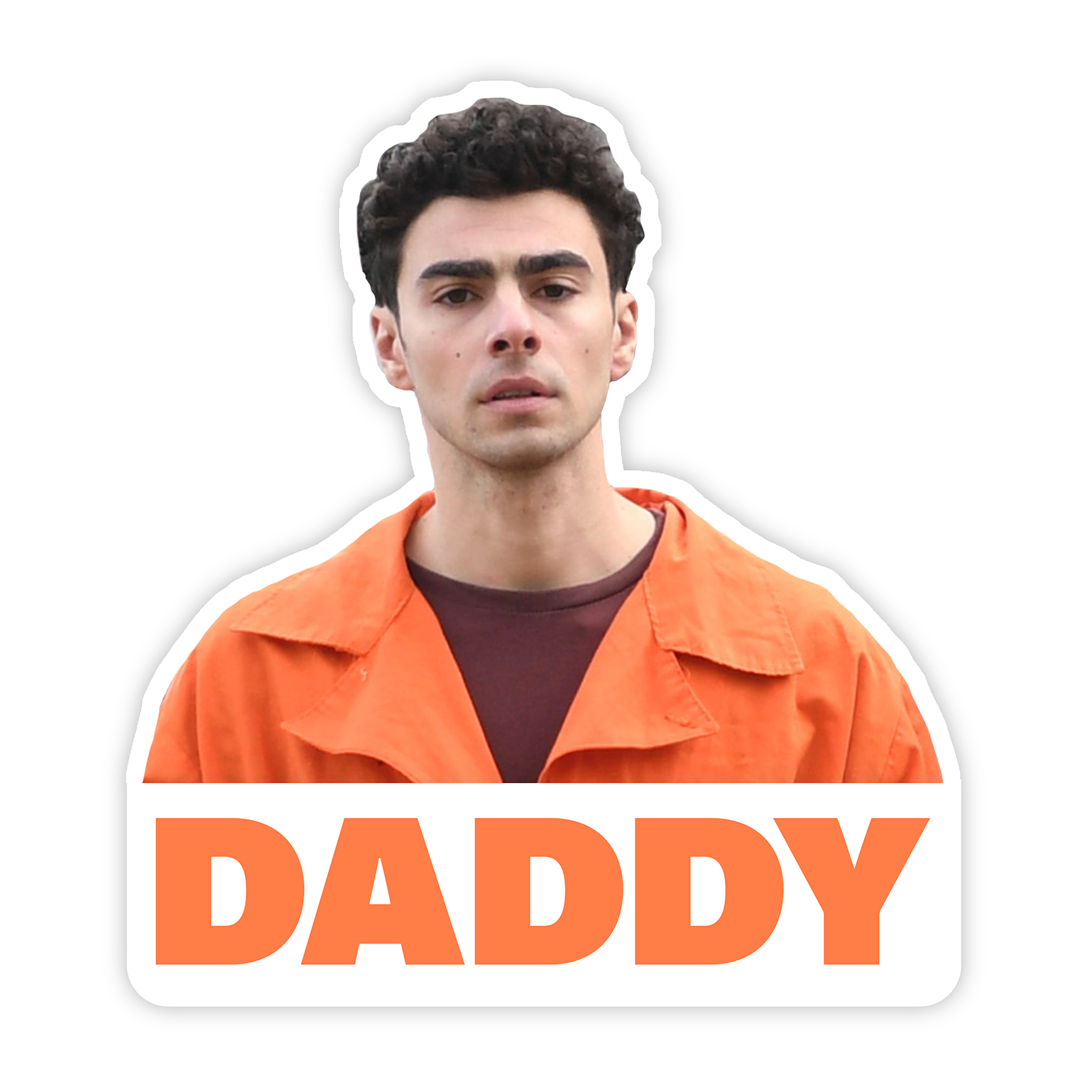 The Little Gay Shop - Wholesale Sticker - Daddy Luigi Mangione Sticker0