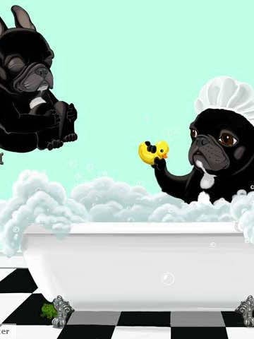 Lámina artística de perro con diseño de bulldog francés, hora de baño para venta al por mayor de Brian Rubenacker studios