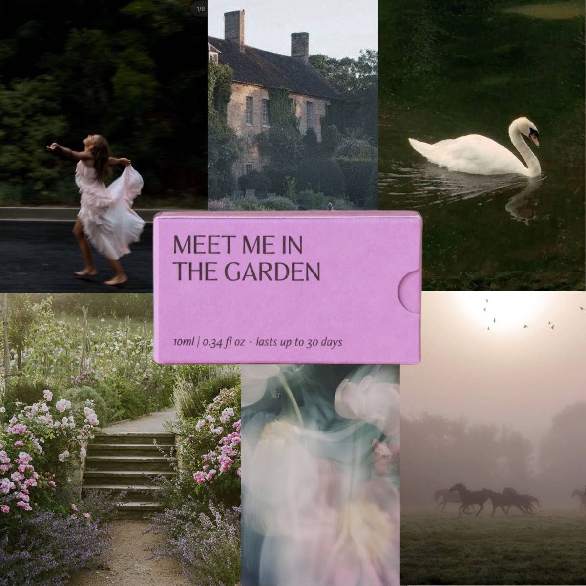 Below 60 - Wholesale Diffuser Fragrance Refill - Meet Me in the Garden  | Floral & Green Scent Refill4