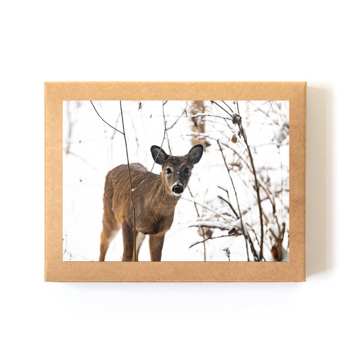 "Snowy Deer" Card Boxed Set (8 Cards + Envelopes) for wholesale by Andrea Morris Art