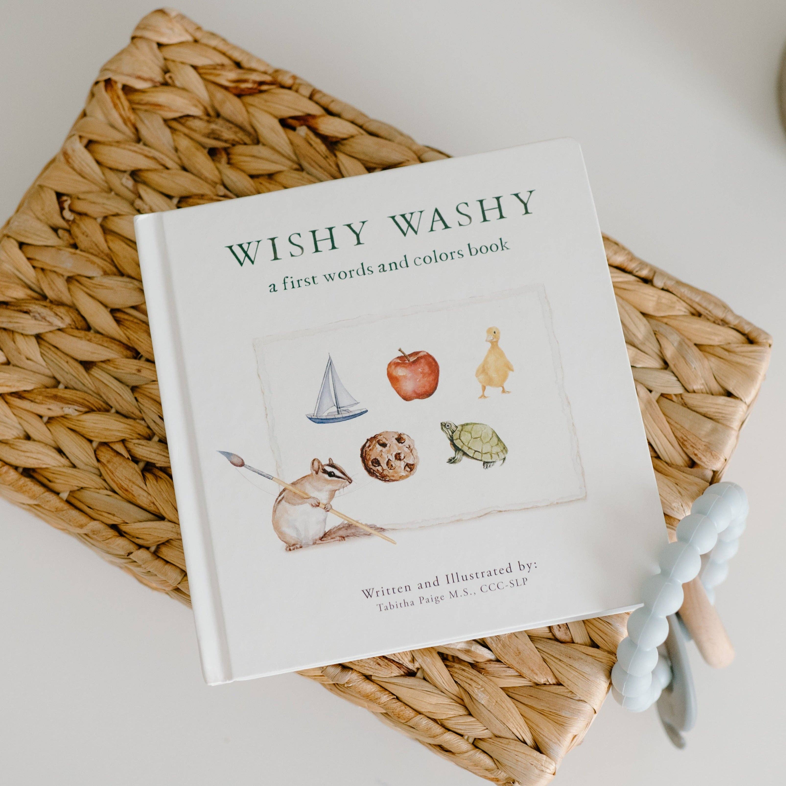 Paige Tate & Co. - Wholesale Baby & Toddler Book (0-2) - Wishy Washy: A Board Book of First Words and Colors7