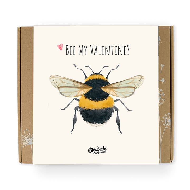 Confezione Regalo Organica con 9 Bombe di Semi – "Bee My Valentine" per la vendita all'ingrosso da parte di Blossombs