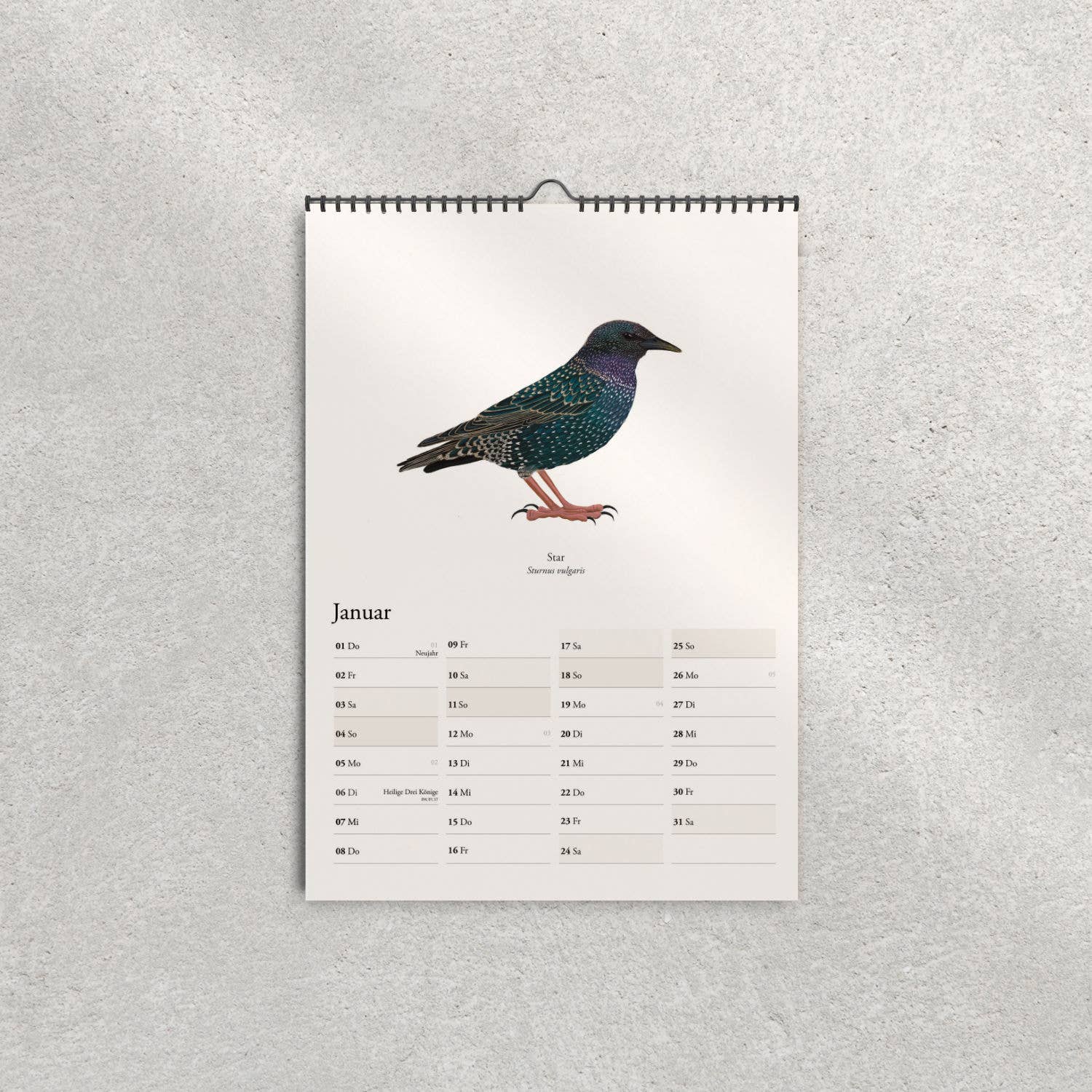 Terillu - Wholesale Calendar - Wall calendar 2026, calendar of native birds in A3 format1