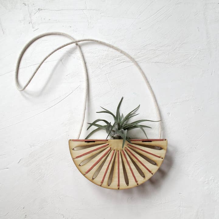 Halvcirkel Airplant Hållare för wholesale av noshii