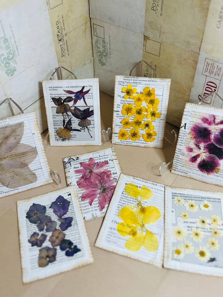 Dried Flower Specimen Card Set for wholesale by Bookshelf Anatomy, LLC