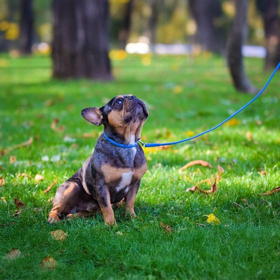 Dogline - Wholesale Halsband - Hond - Zachte Leren Halsband Rond4